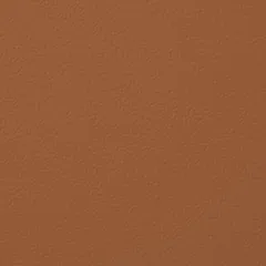 Brown swatch