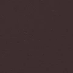 NAPA 10 swatch