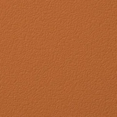 Passion Orange swatch
