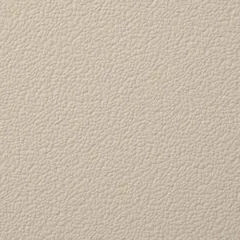 Beige Grey swatch
