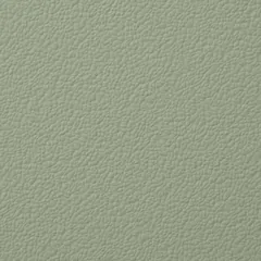 Olive Green swatch